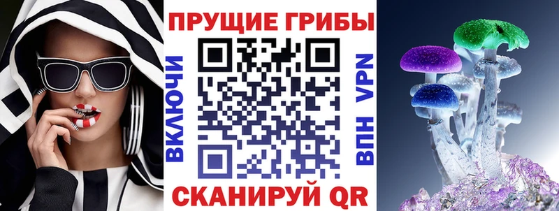 Галлюциногенные грибы прущие грибы  Мещовск 